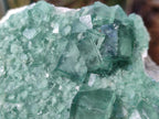 Natural Green Cubic Fluorite Specimens x 3 From Mandrosonoro, Madagascar - Toprock Gemstones and Minerals 