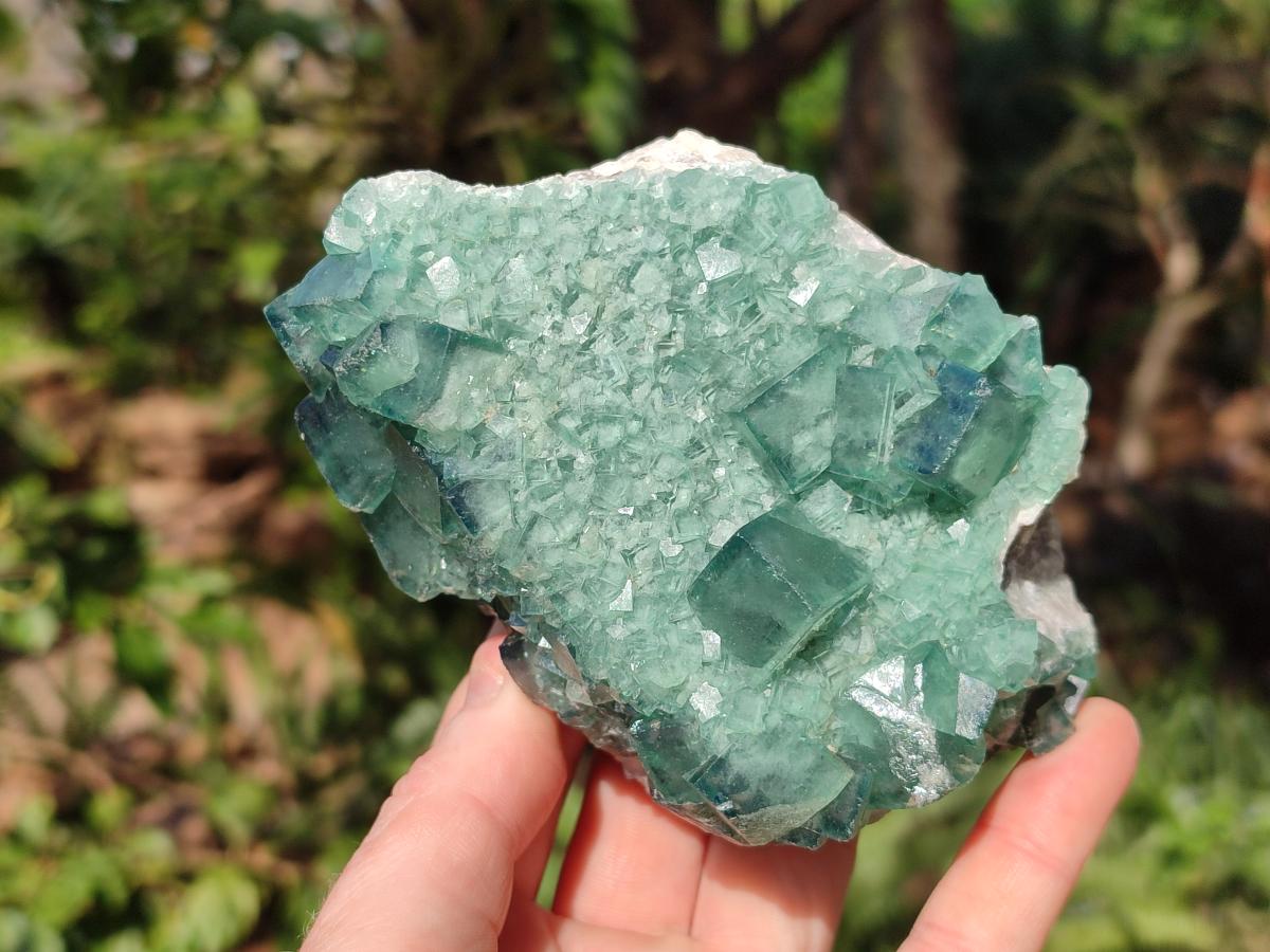 Natural Green Cubic Fluorite Specimens x 3 From Mandrosonoro, Madagascar - Toprock Gemstones and Minerals 