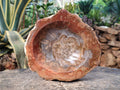 Polished Large Podocarpus Petrified Wood Astray x 1 From Mahajanga, Madagascar - Toprock Gemstones and Minerals 