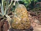 Polished One Side XXL Yellow Orbicular Ocean Jasper Display Piece x 1 From Northwest Coast, Madagascar - Toprock Gemstones and Minerals 