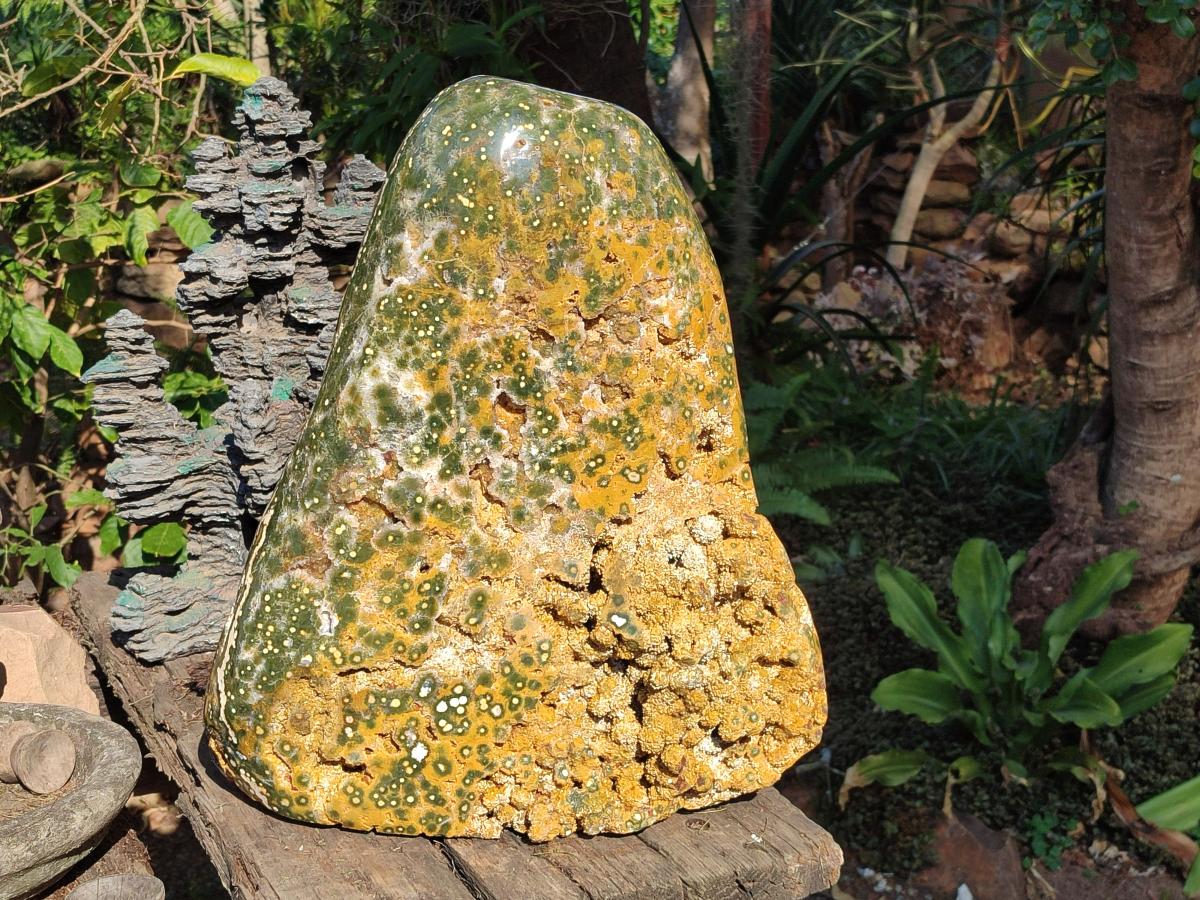 Polished One Side XXL Yellow Orbicular Ocean Jasper Display Piece x 1 From Northwest Coast, Madagascar - Toprock Gemstones and Minerals 
