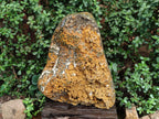 Polished One Side XXL Yellow Orbicular Ocean Jasper Display Piece x 1 From Northwest Coast, Madagascar - Toprock Gemstones and Minerals 