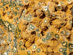 Polished One Side XXL Yellow Orbicular Ocean Jasper Display Piece x 1 From Northwest Coast, Madagascar - Toprock Gemstones and Minerals 