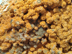 Polished One Side XXL Yellow Orbicular Ocean Jasper Display Piece x 1 From Northwest Coast, Madagascar - Toprock Gemstones and Minerals 