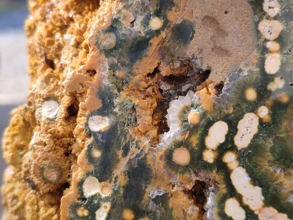 Polished One Side XXL Yellow Orbicular Ocean Jasper Display Piece x 1 From Northwest Coast, Madagascar - Toprock Gemstones and Minerals 