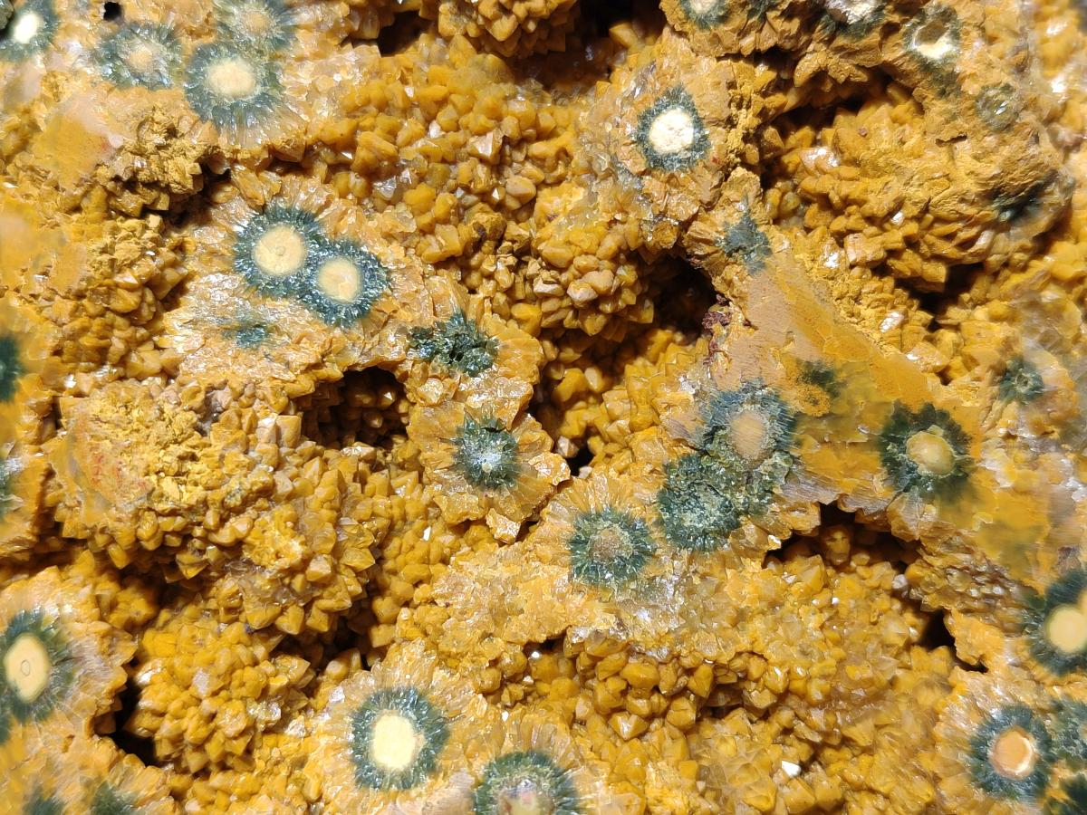 Polished One Side XXL Yellow Orbicular Ocean Jasper Display Piece x 1 From Northwest Coast, Madagascar - Toprock Gemstones and Minerals 