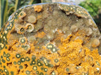 Polished One Side XXL Yellow Orbicular Ocean Jasper Display Piece x 1 From Northwest Coast, Madagascar - Toprock Gemstones and Minerals 