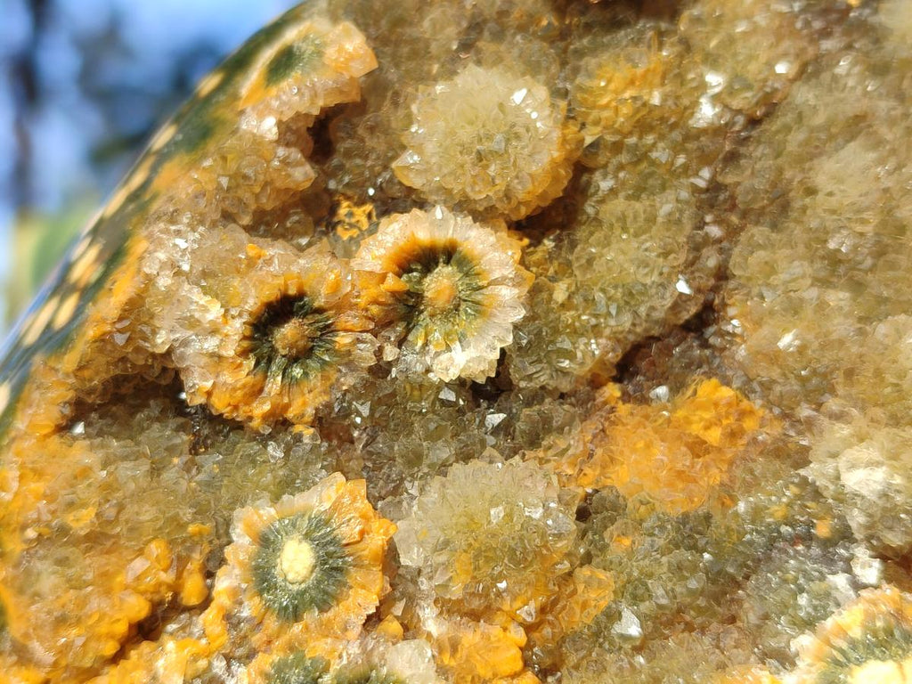 Polished One Side XXL Yellow Orbicular Ocean Jasper Display Piece x 1 From Northwest Coast, Madagascar - Toprock Gemstones and Minerals 