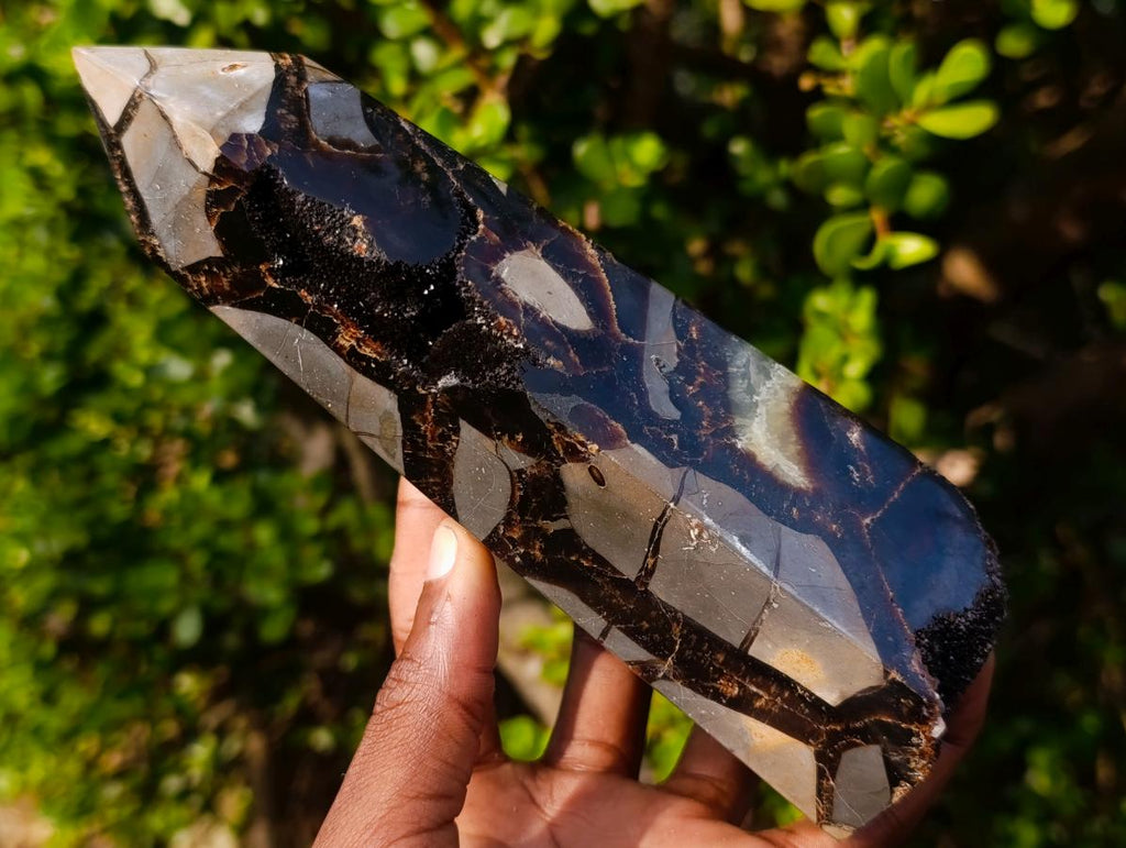 Polished Septerye Sauvage "Dragons Display Crystals"x 2 From Mahajanga, Madagascar - Toprock Gemstones and Minerals 