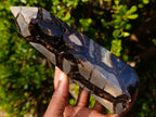 Polished Septerye Sauvage "Dragons Display Crystals"x 2 From Mahajanga, Madagascar - Toprock Gemstones and Minerals 