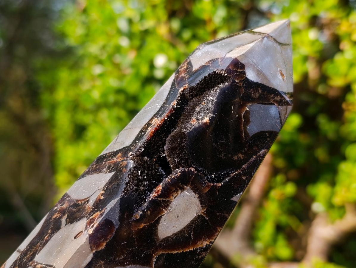 Polished Septerye Sauvage "Dragons Display Crystals"x 2 From Mahajanga, Madagascar - Toprock Gemstones and Minerals 