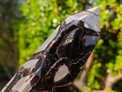 Polished Septerye Sauvage "Dragons Display Crystals"x 2 From Mahajanga, Madagascar - Toprock Gemstones and Minerals 