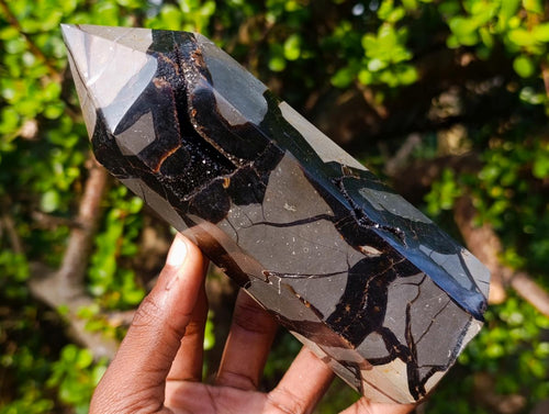 Polished Septerye Sauvage "Dragons Display Crystals"x 2 From Mahajanga, Madagascar - Toprock Gemstones and Minerals 