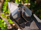 Polished Septerye Sauvage "Dragons Display Crystals"x 2 From Mahajanga, Madagascar - Toprock Gemstones and Minerals 