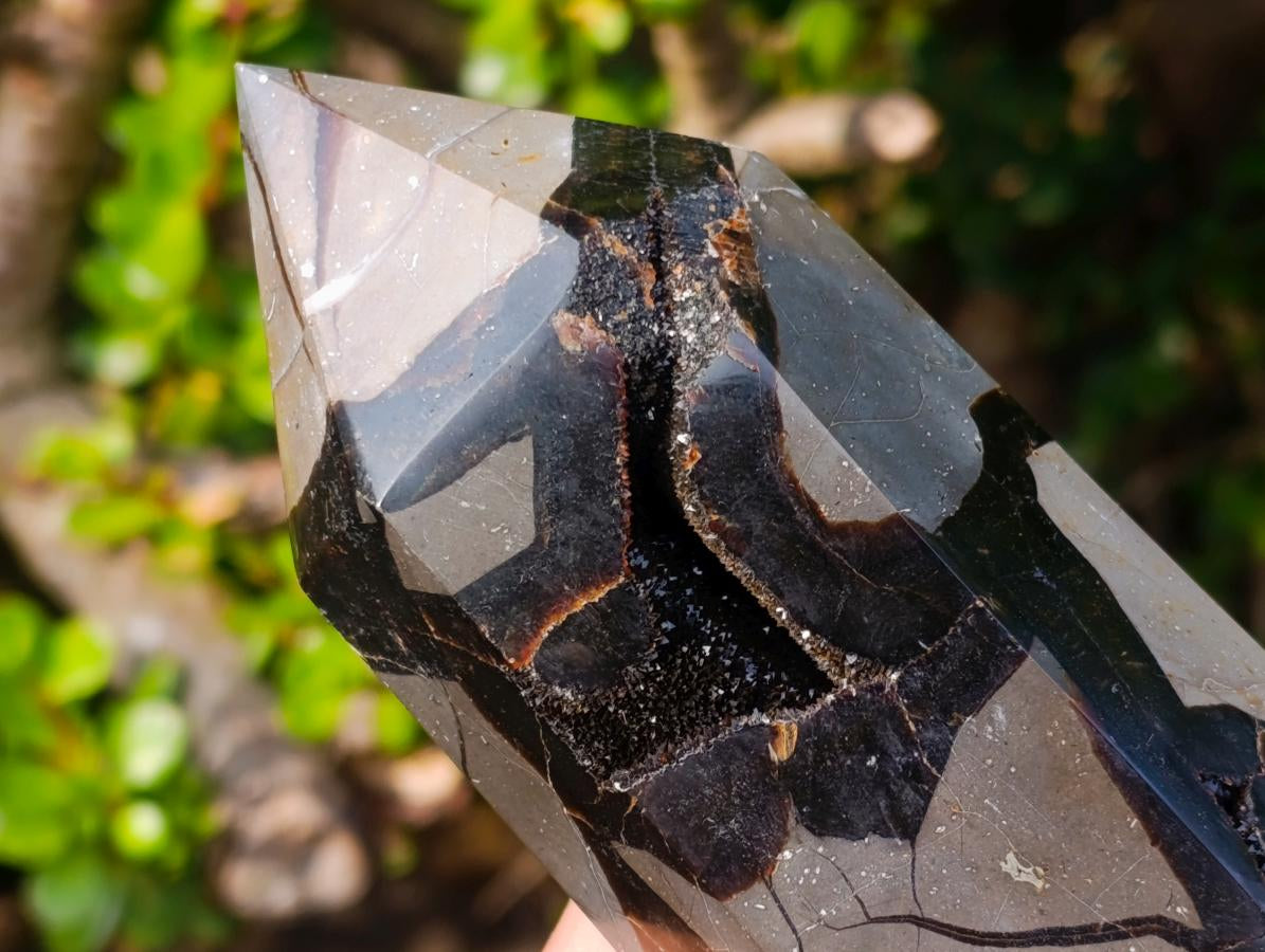Polished Septerye Sauvage "Dragons Display Crystals"x 2 From Mahajanga, Madagascar - Toprock Gemstones and Minerals 