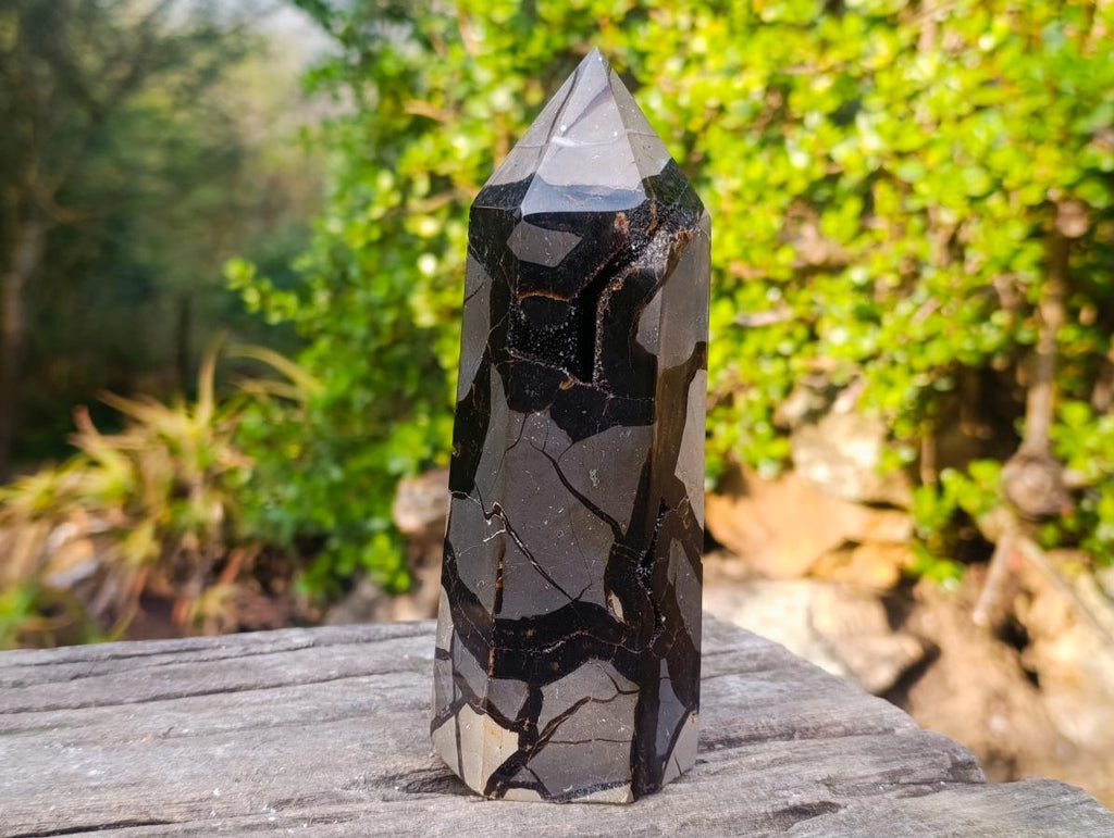 Polished Septerye Sauvage "Dragons Display Crystals"x 2 From Mahajanga, Madagascar - Toprock Gemstones and Minerals 