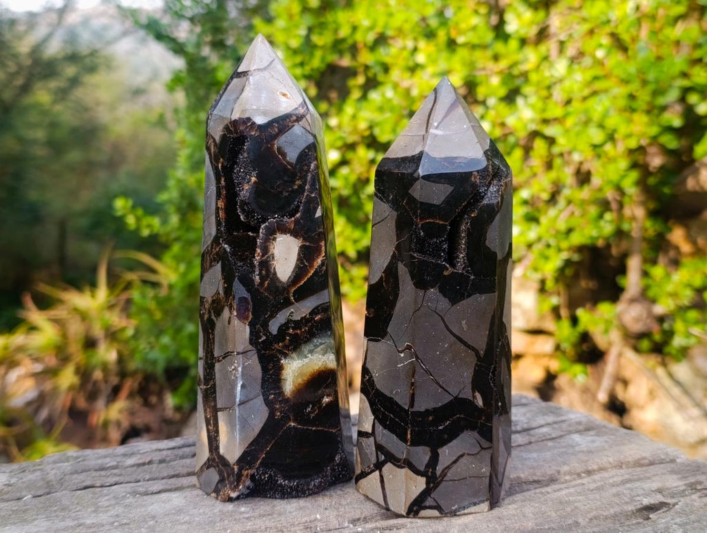 Polished Septerye Sauvage "Dragons Display Crystals"x 2 From Mahajanga, Madagascar - Toprock Gemstones and Minerals 
