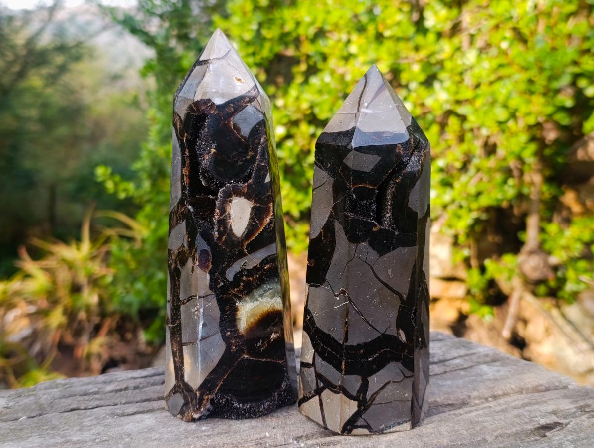Polished Septerye Sauvage "Dragons Display Crystals"x 2 From Mahajanga, Madagascar - Toprock Gemstones and Minerals 