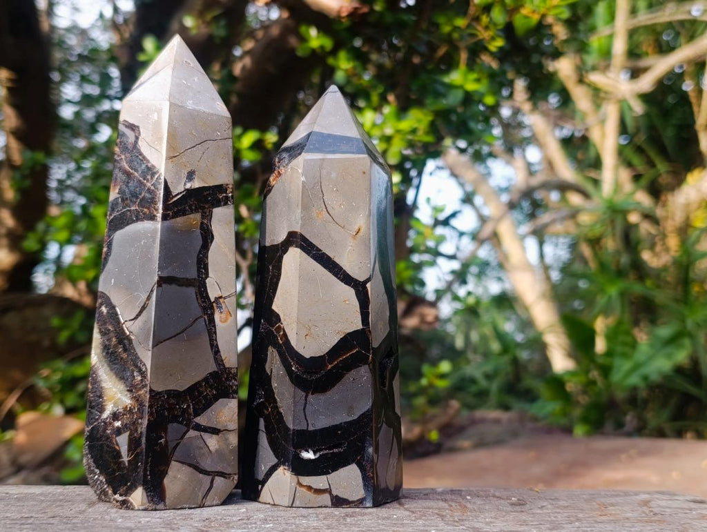 Polished Septerye Sauvage "Dragons Display Crystals"x 2 From Mahajanga, Madagascar - Toprock Gemstones and Minerals 
