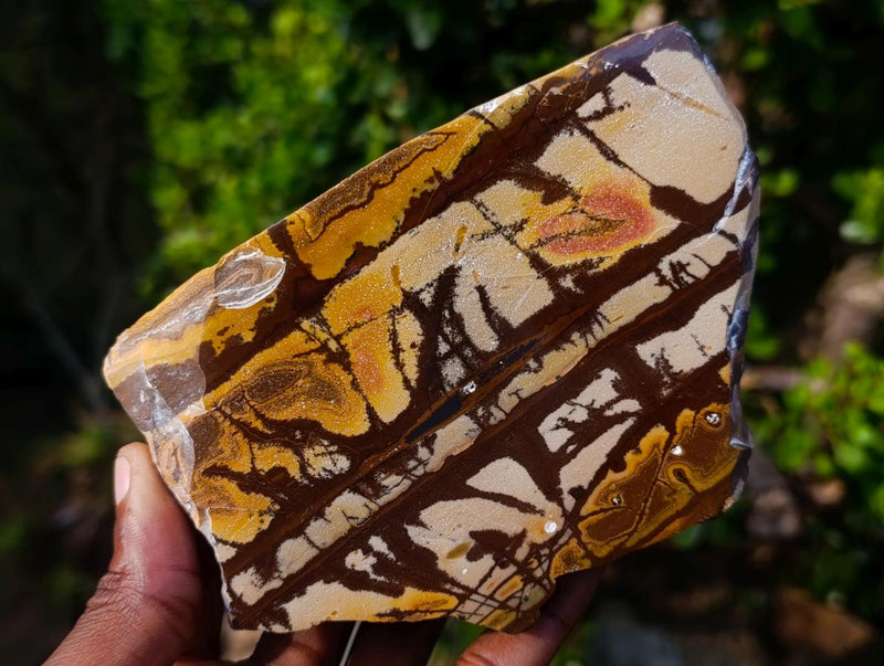 Polished on One Side Nguni Jasper Pieces x 2 From Northern Cape, South Africa - Toprock Gemstones and Minerals 