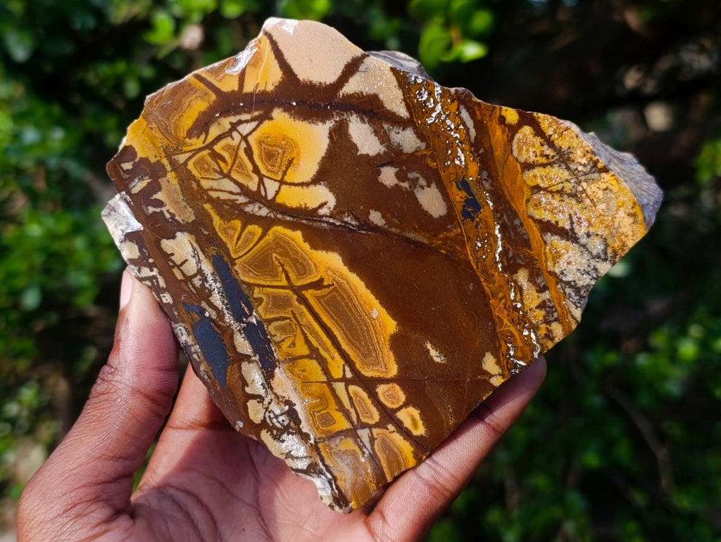 Polished on One Side Nguni Jasper Pieces x 2 From Northern Cape, South Africa - Toprock Gemstones and Minerals 