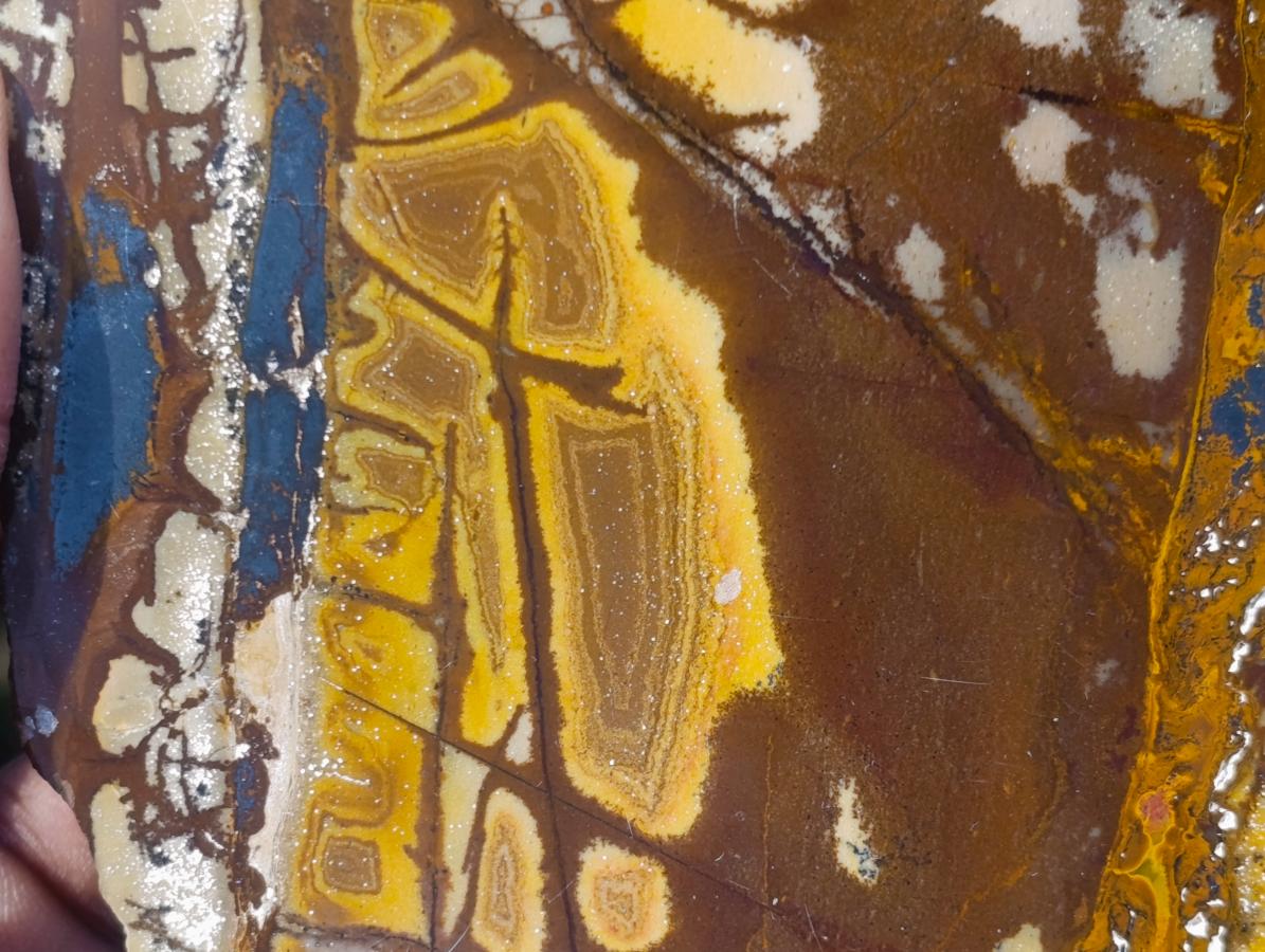 Polished on One Side Nguni Jasper Pieces x 2 From Northern Cape, South Africa - Toprock Gemstones and Minerals 