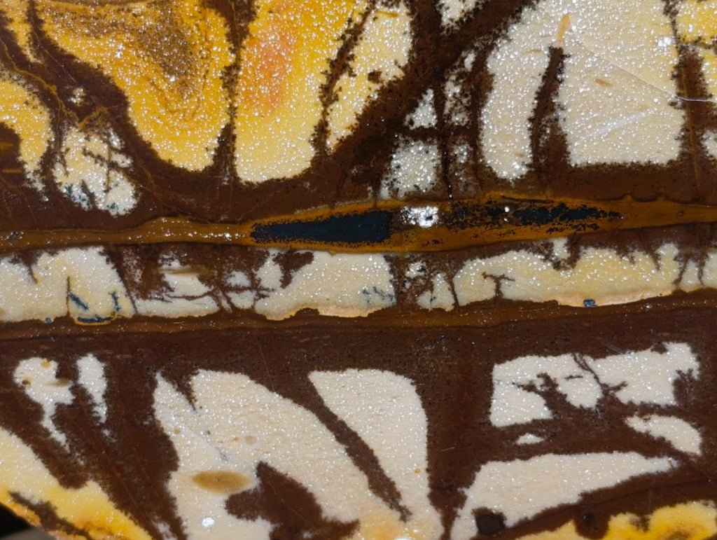 Polished on One Side Nguni Jasper Pieces x 2 From Northern Cape, South Africa - Toprock Gemstones and Minerals 