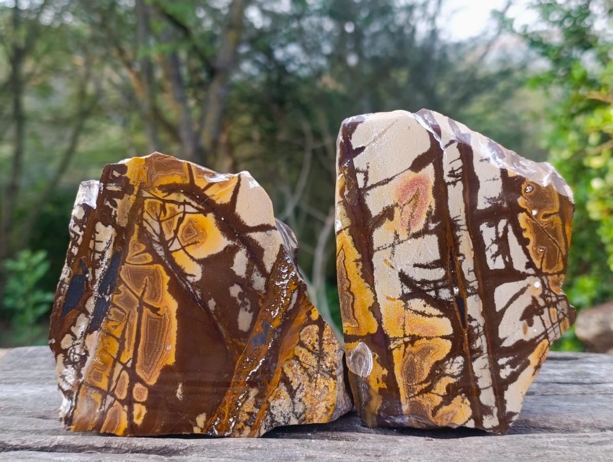 Polished on One Side Nguni Jasper Pieces x 2 From Northern Cape, South Africa - Toprock Gemstones and Minerals 