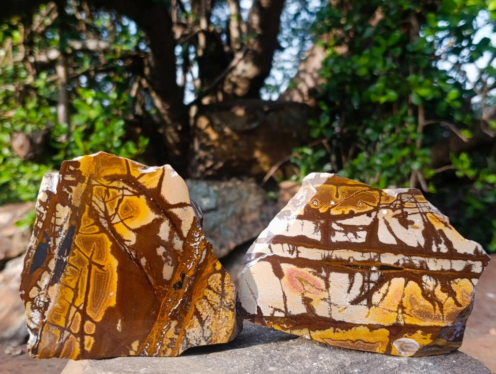 Polished on One Side Nguni Jasper Pieces x 2 From Northern Cape, South Africa - Toprock Gemstones and Minerals 