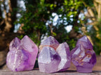 Polished Window Amethyst Crystals x 7 From Akansobe, Madagascar - Toprock Gemstones and Minerals 