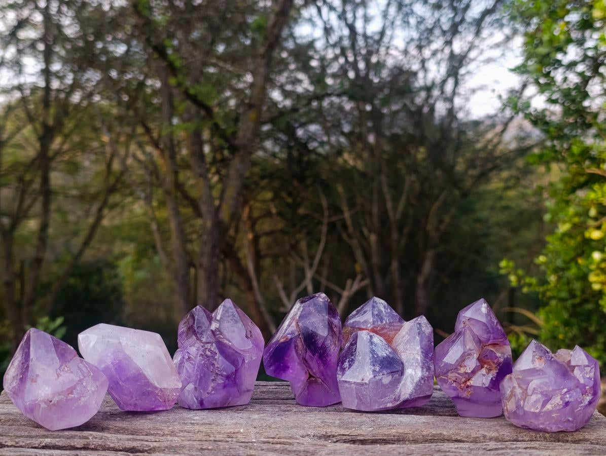 Polished Window Amethyst Crystals x 7 From Akansobe, Madagascar - Toprock Gemstones and Minerals 