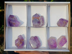 Polished Window Amethyst Crystals x 7 From Akansobe, Madagascar - Toprock Gemstones and Minerals 