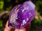 Polished Window Amethyst Crystals x 7 From Akansobe, Madagascar - Toprock Gemstones and Minerals 