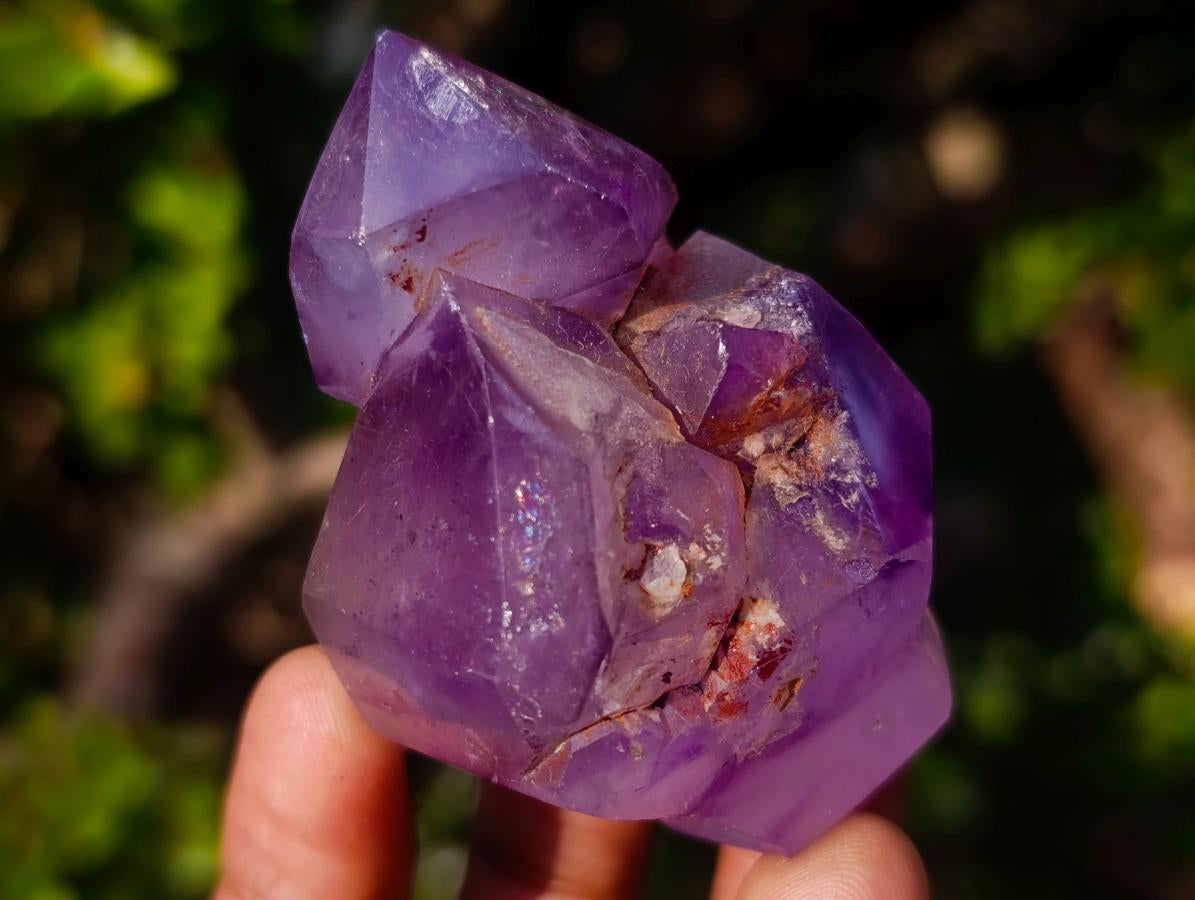 Polished Window Amethyst Crystals x 7 From Akansobe, Madagascar - Toprock Gemstones and Minerals 