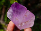 Polished Window Amethyst Crystals x 7 From Akansobe, Madagascar - Toprock Gemstones and Minerals 