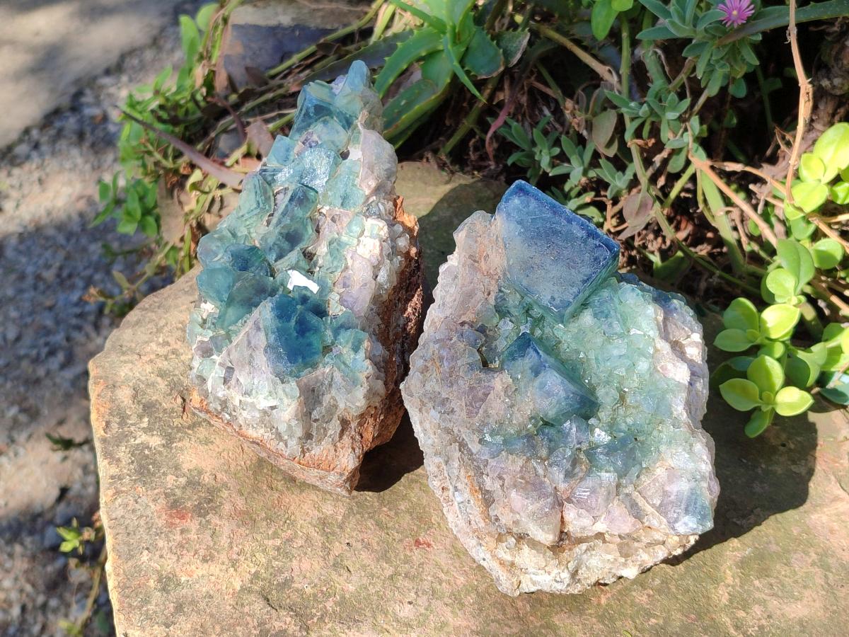 Natural Large Green Cubic Fluorite Specimens x 2 From Mandrosonoro, Madagascar - Toprock Gemstones and Minerals 