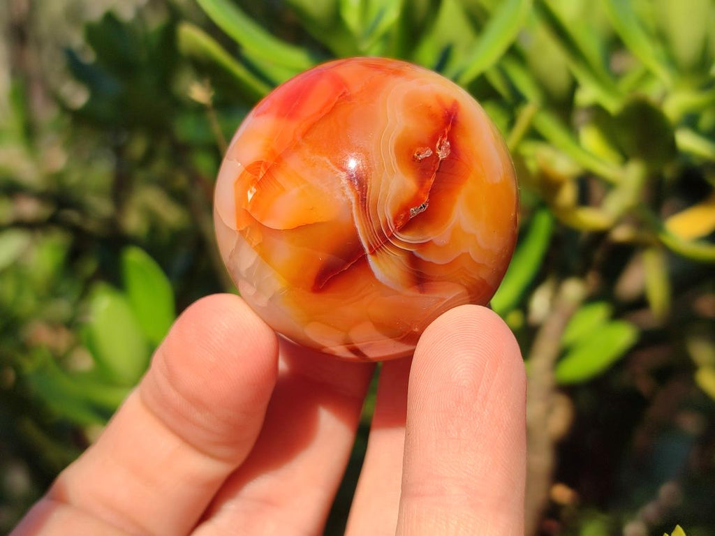 Polished Small Carnelian Agate Gemstone Sphere x 20 From Madagascar - Toprock Gemstones and Minerals 