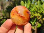 Polished Small Carnelian Agate Gemstone Sphere x 20 From Madagascar - Toprock Gemstones and Minerals 
