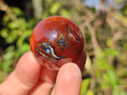 Polished Small Carnelian Agate Gemstone Sphere x 20 From Madagascar - Toprock Gemstones and Minerals 