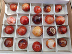 Polished Small Carnelian Agate Gemstone Sphere x 20 From Madagascar - Toprock Gemstones and Minerals 