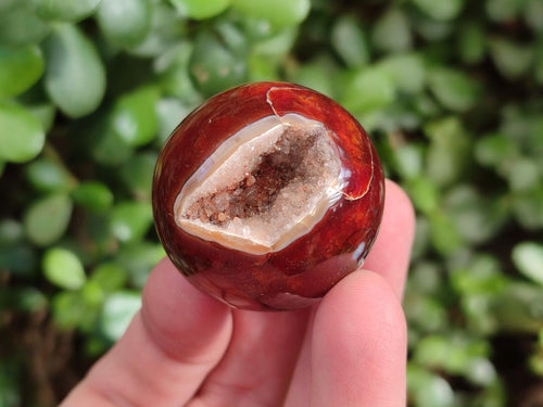 Polished Small Carnelian Agate Gemstone Sphere x 20 From Madagascar - Toprock Gemstones and Minerals 
