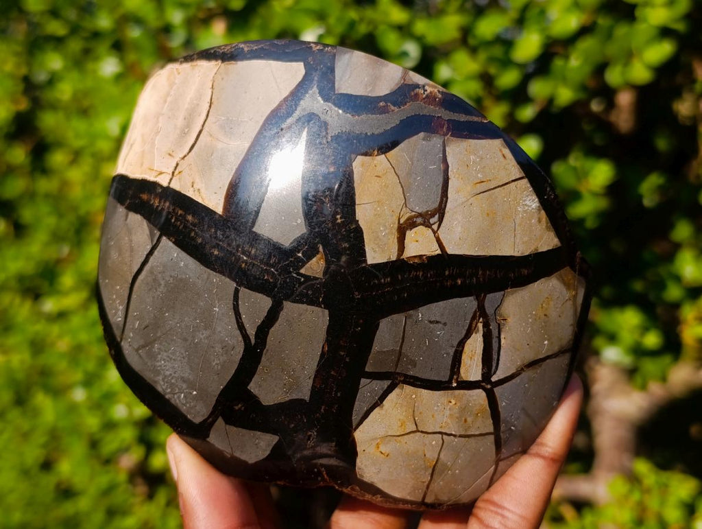 Polished XL Septerye Sauvage "Dragons Egg" Geode with Fitting Cap x 1 From Mahajanga, Madagascar - Toprock Gemstones and Minerals 