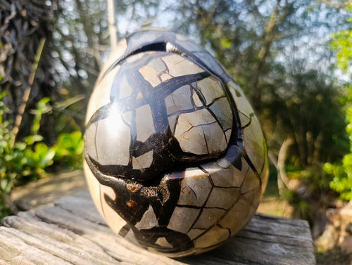 Polished XL Septerye Sauvage "Dragons Egg" Geode with Fitting Cap x 1 From Mahajanga, Madagascar - Toprock Gemstones and Minerals 
