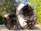Polished XL Septerye Sauvage "Dragons Egg" Geode with Fitting Cap x 1 From Mahajanga, Madagascar - Toprock Gemstones and Minerals 