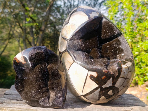 Polished XL Septerye Sauvage "Dragons Egg" Geode with Fitting Cap x 1 From Mahajanga, Madagascar - Toprock Gemstones and Minerals 