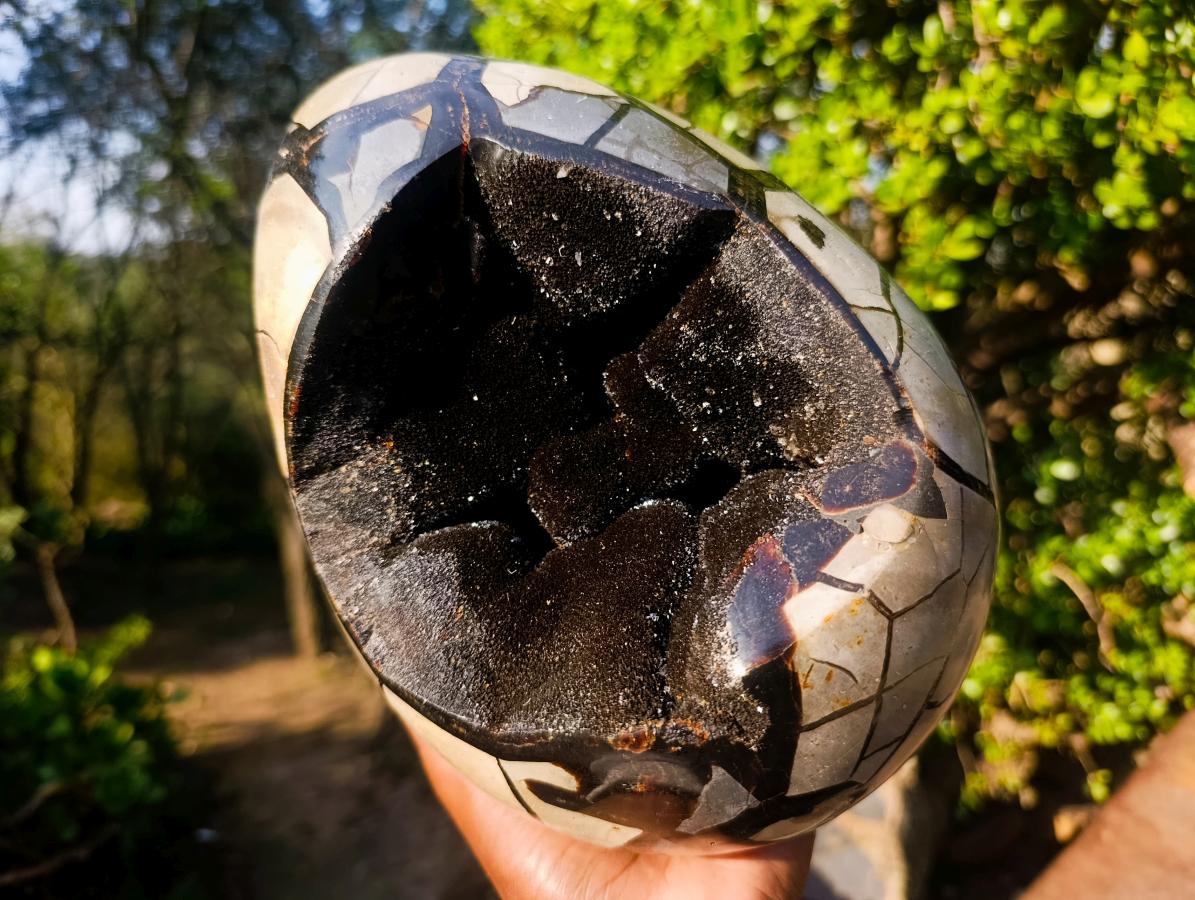 Polished XL Septerye Sauvage "Dragons Egg" Geode with Fitting Cap x 1 From Mahajanga, Madagascar - Toprock Gemstones and Minerals 