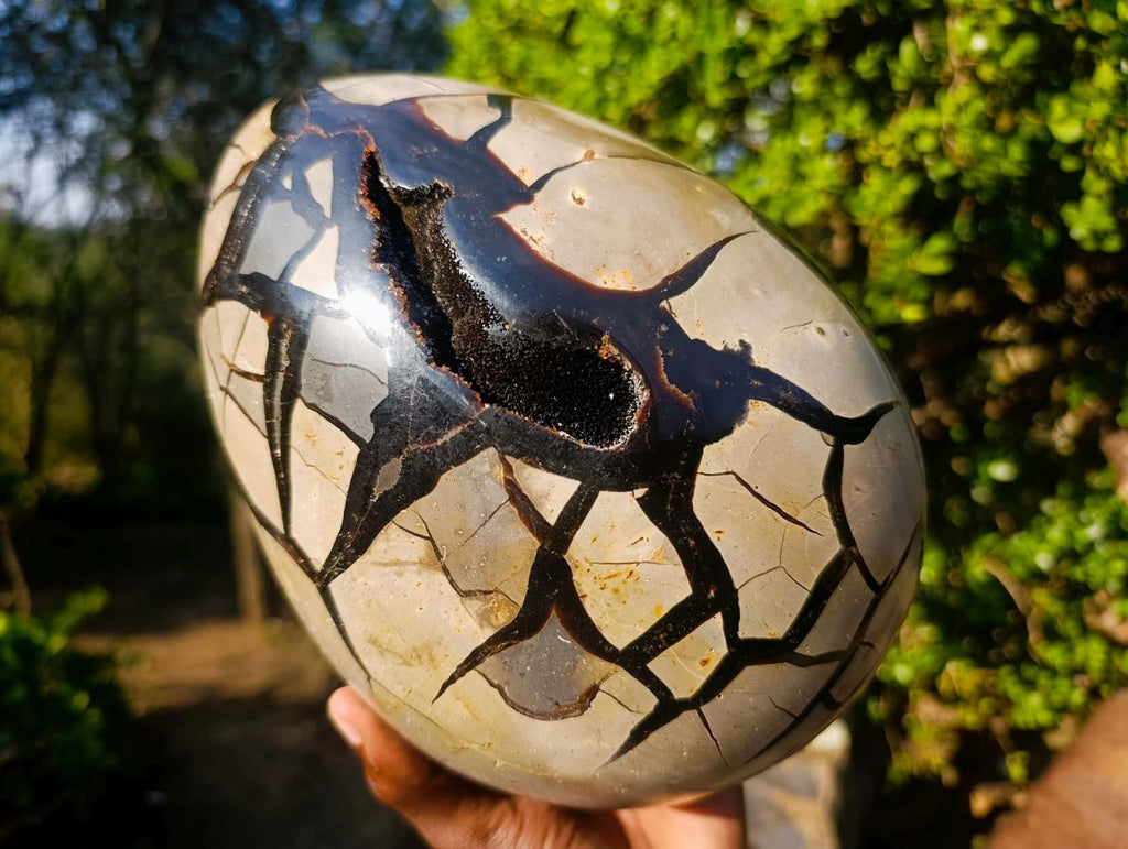 Polished XL Septerye Sauvage "Dragons Egg" Geode with Fitting Cap x 1 From Mahajanga, Madagascar - Toprock Gemstones and Minerals 
