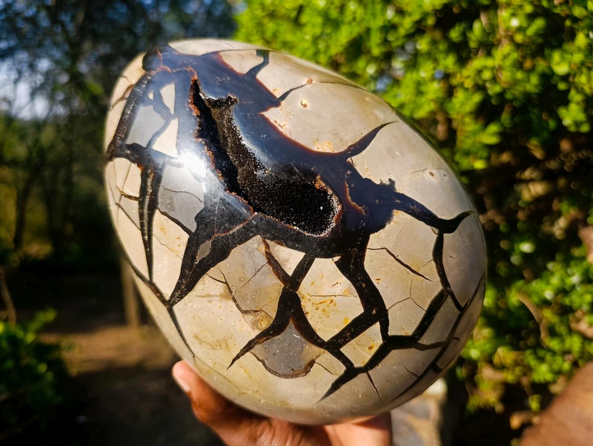 Polished XL Septerye Sauvage "Dragons Egg" Geode with Fitting Cap x 1 From Mahajanga, Madagascar - Toprock Gemstones and Minerals 