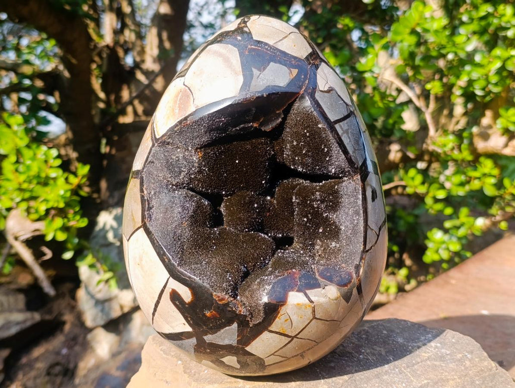 Polished XL Septerye Sauvage "Dragons Egg" Geode with Fitting Cap x 1 From Mahajanga, Madagascar - Toprock Gemstones and Minerals 