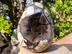 Polished XL Septerye Sauvage "Dragons Egg" Geode with Fitting Cap x 1 From Mahajanga, Madagascar - Toprock Gemstones and Minerals 